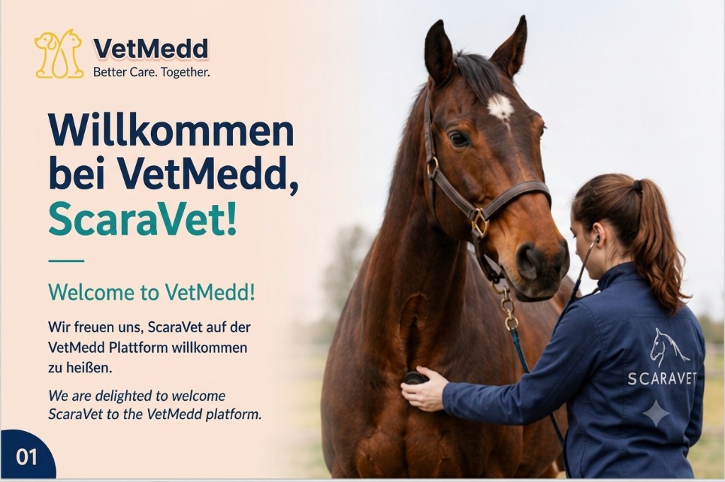 Welcome to VetMedd, ScaraVet partnership announcement