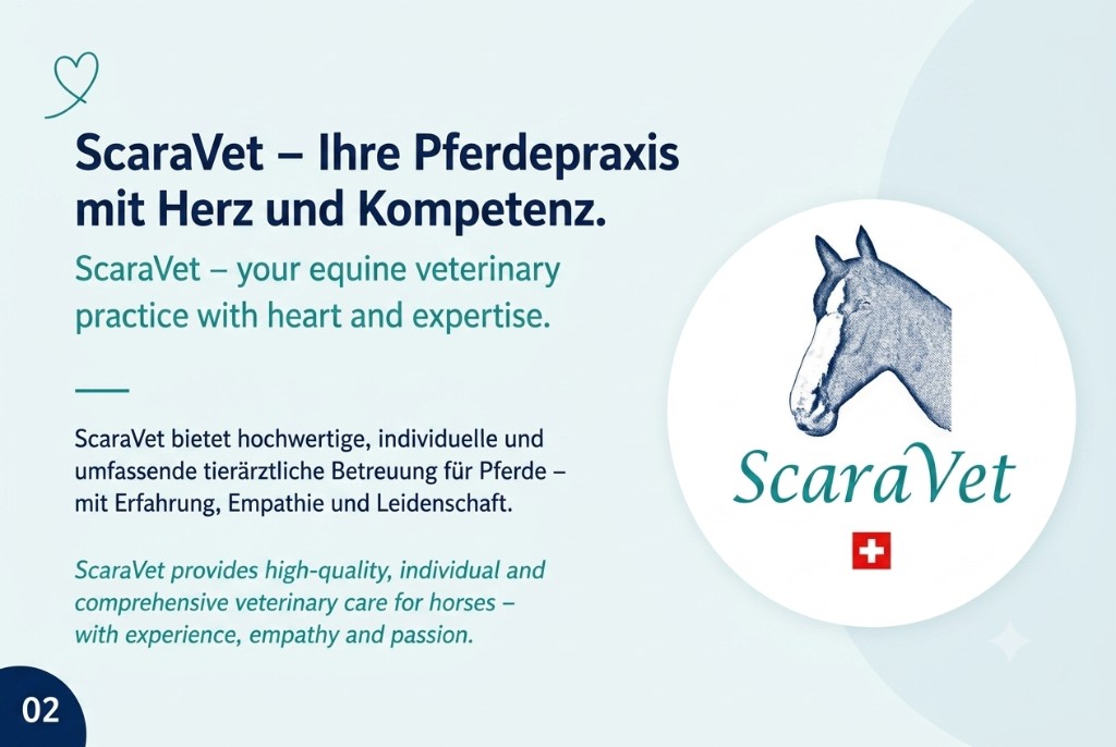 ScaraVet equine veterinary practice introduction